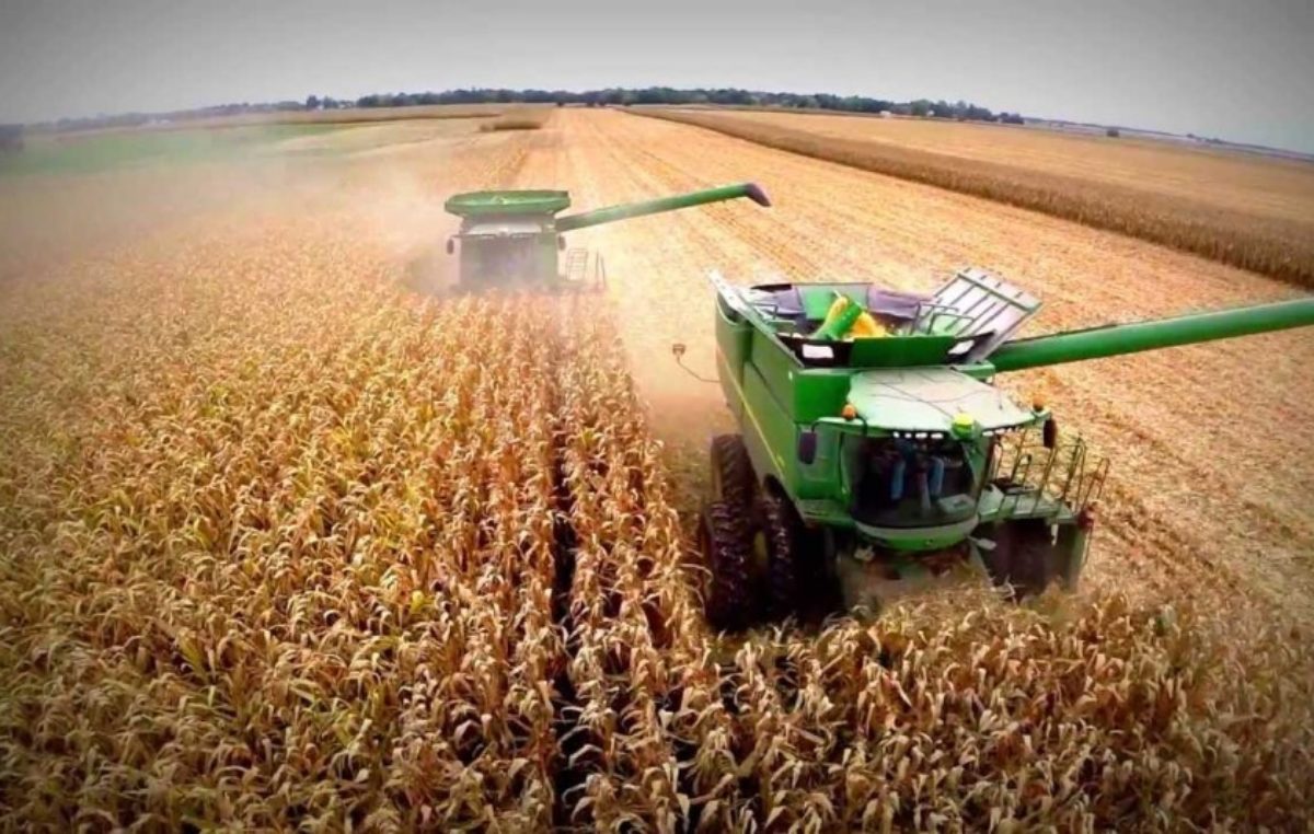 EL CAMPO VOLCARÁ 45% MAS DE DOLARES EN COMPARACIÓN AL 2020 Y SERA RECORD