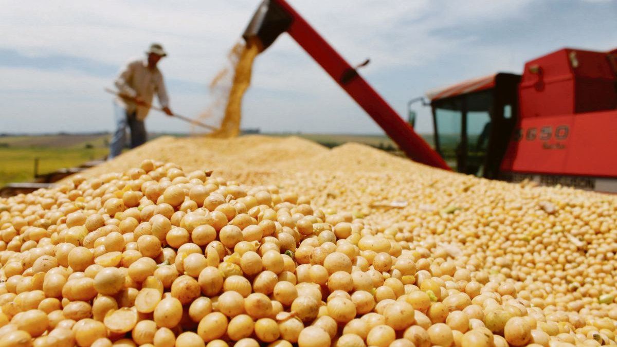 Se disparan los precios de la soja y el maíz ante menores expectativas de siembra en EEUU