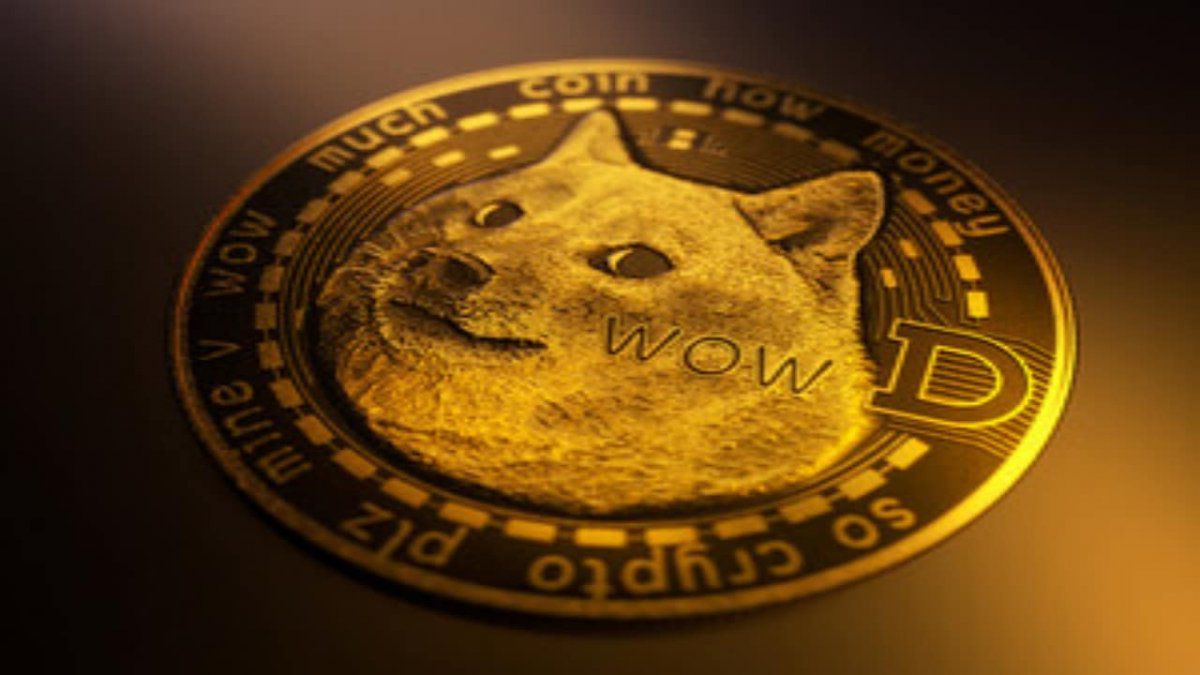 Dogecoin, inmune al derrumbe del bitcoin, salta otro 18%