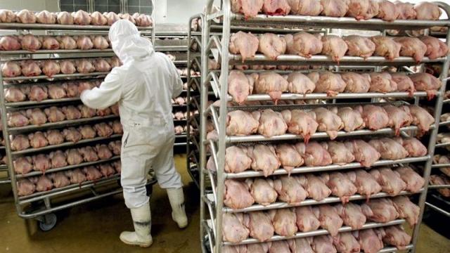 Argentina reinicia la exportación de carne aviar a la Unión Europea