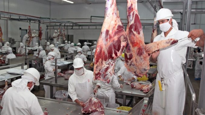 CEER, UIER y una decena de entidades también rechazan el cierre de las exportaciones de carne