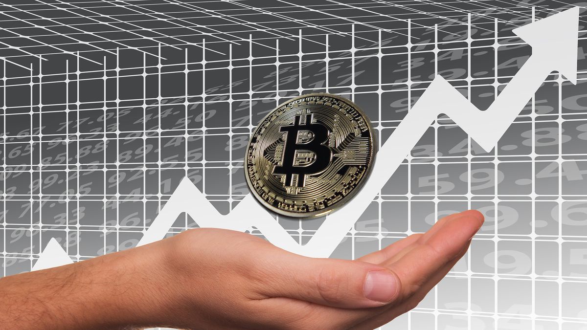 Respiran las criptomonedas: sube el Bitcoin y las «ballenas» aguantan