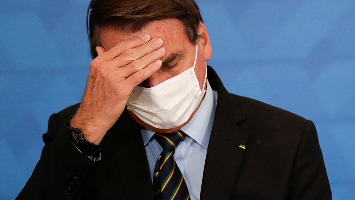 Brasil, insólito: el Supremo investiga  al titular de Ambiente por supuesto contrabando de madera amazónica