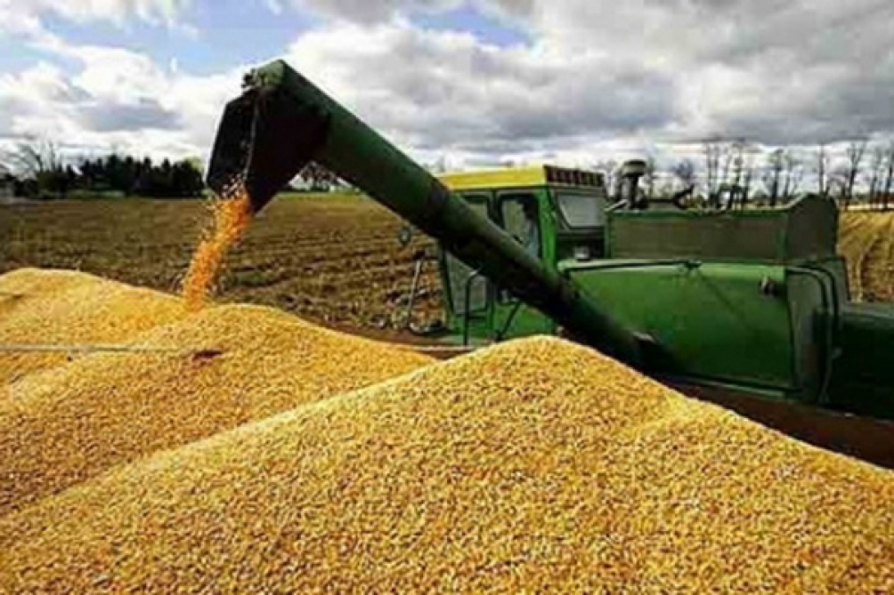 El Gobierno eliminó las retenciones a exportaciones de 70 productos agroindustriales