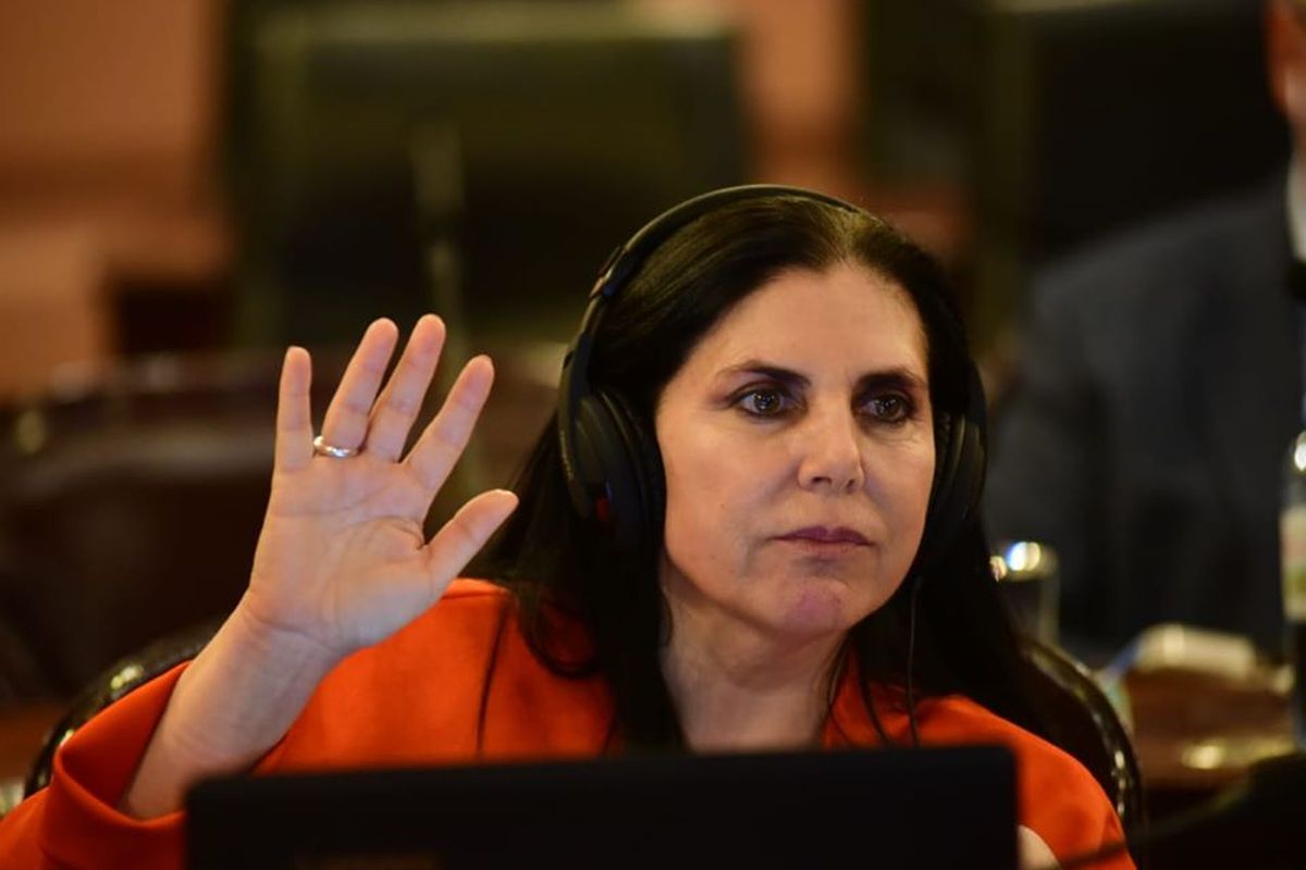Gabriela Lena: «El consenso Fiscal es un retroceso»
