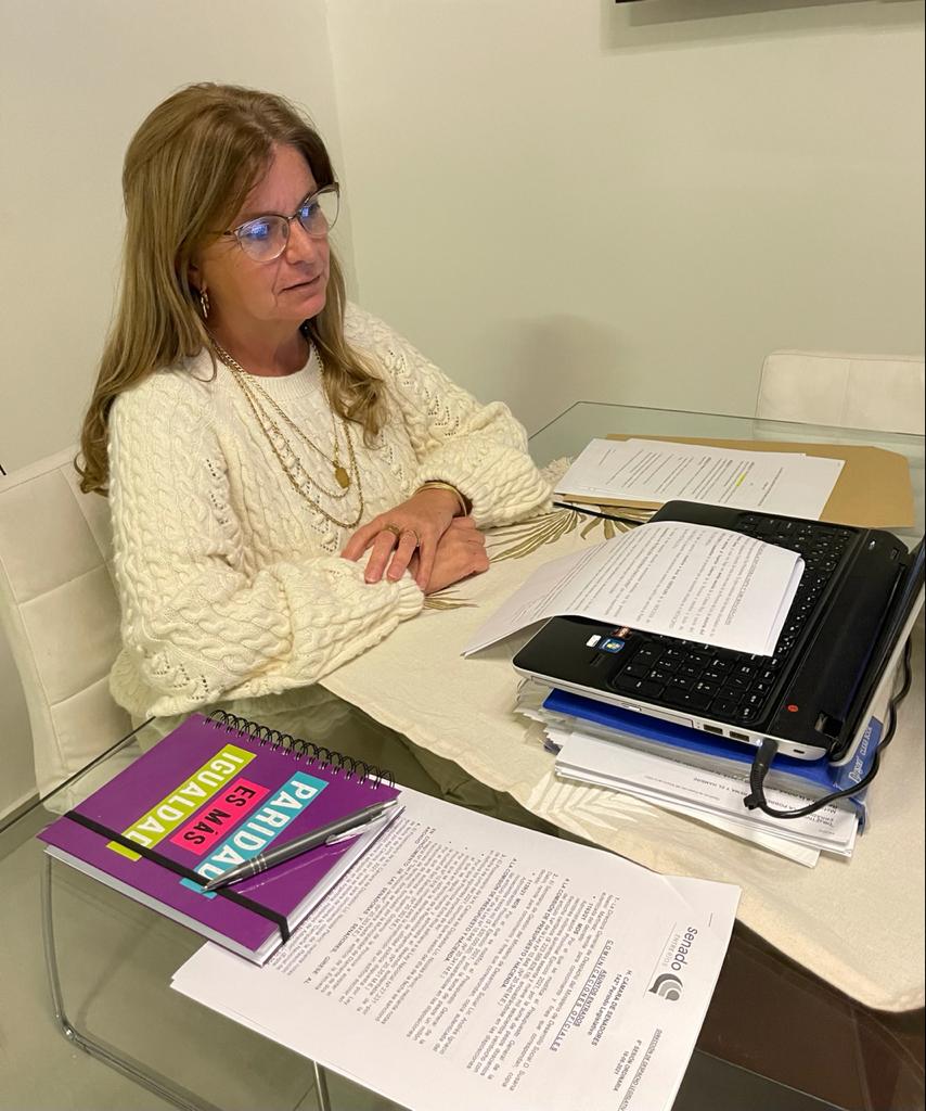 En sesión ordinaria del Senado,ingresó el Proyecto de creación de las Comisarías de la Mujer y la Familia