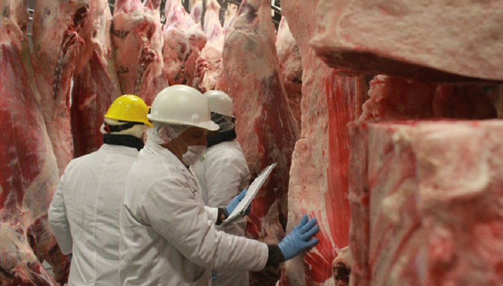 El consumo de carne es el más bajo de los últimos 20 años y el derrumbe de la faena supera los dos dígitos