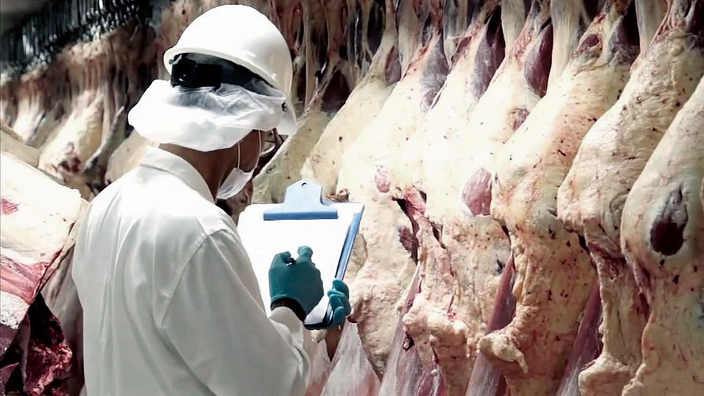Principio de «acuerdo» entre frigoríficos y el Gobierno para reapertura parcial de exportaciones de carne