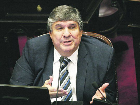 El Senado convirtió en ley el subsidio al gas para las zonas frías