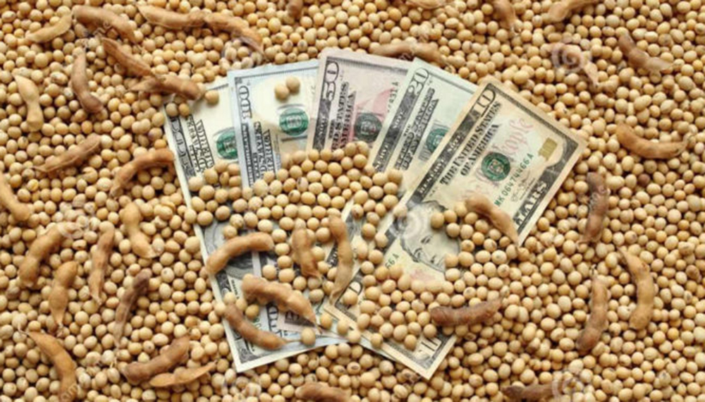 El agro ingresó más de U$S 3.000 millones en mayo, el máximo en 18 años