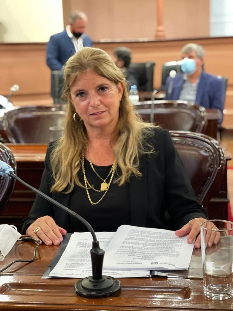 Claudia Gieco participó de dos reuniones de Comisión