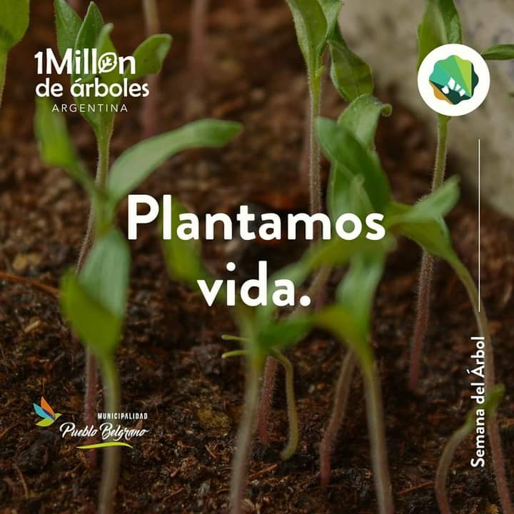 Pueblo Belgrano renovó el compromiso de forestación