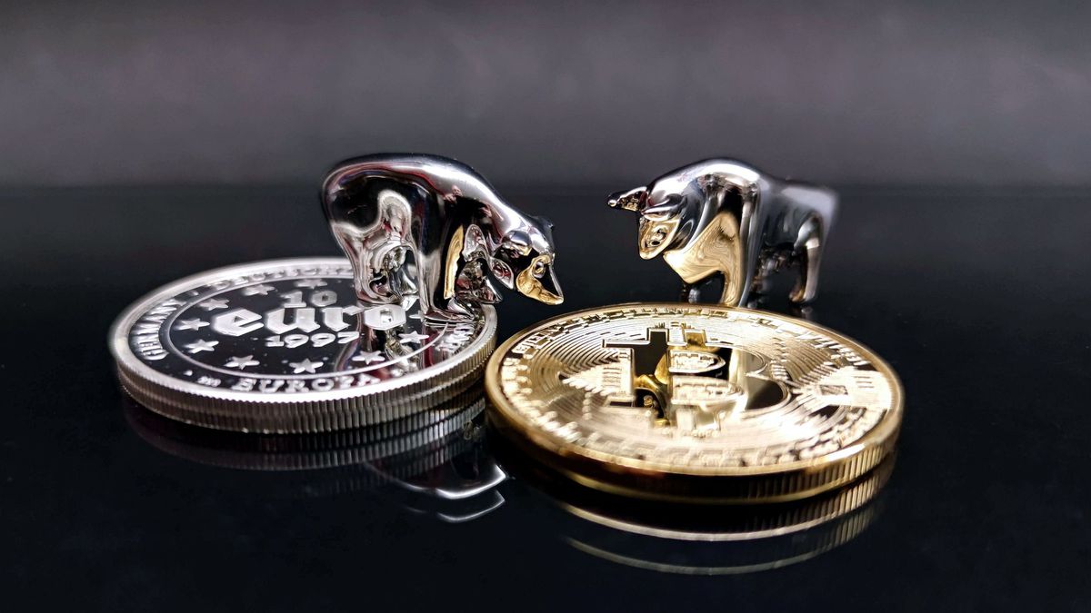 Expectativa por la actualización del Bitcoin: precio de soporte, en un juego de «osos» y «toros»