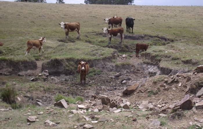 Entre Ríos enfrenta la peor sequía de los últimos 60 años