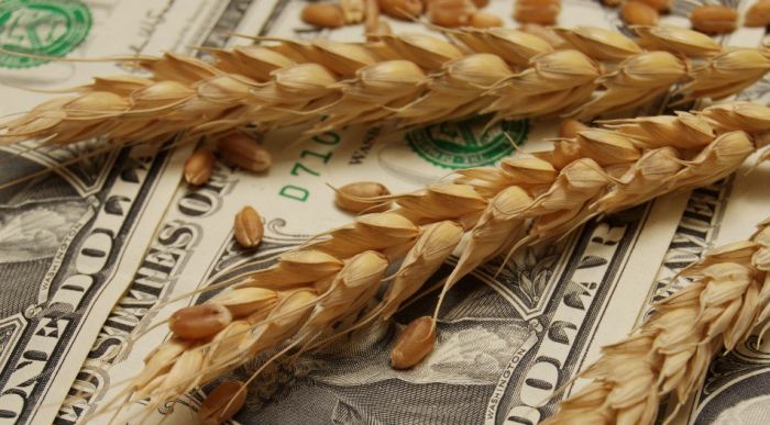 El peligro de la sequía: alertan por los precios y los dólares