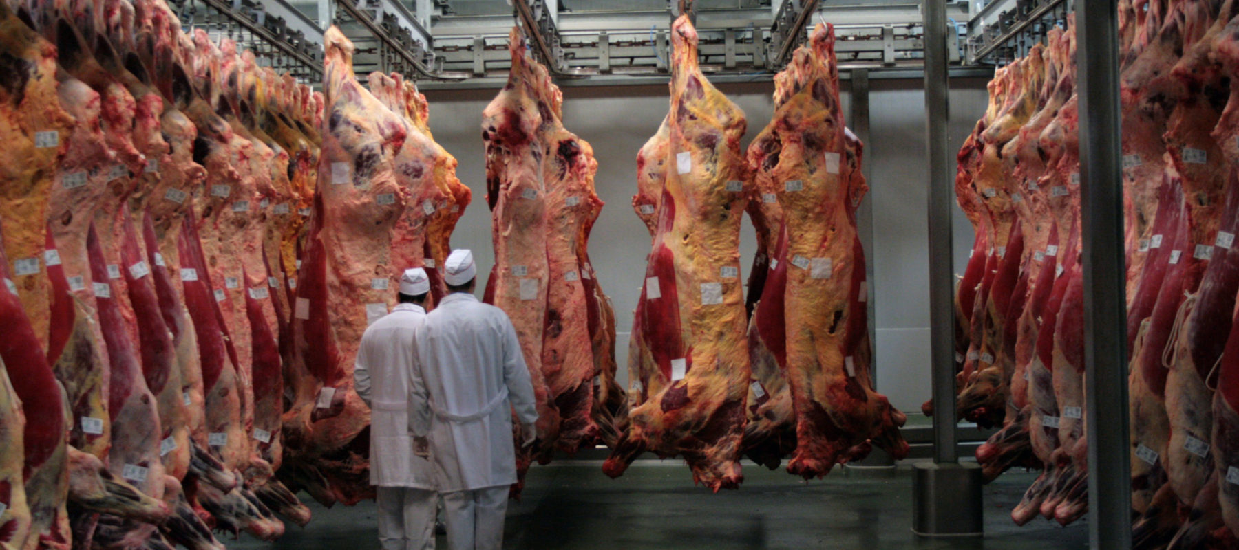 Nuevo esquema para la carne hasta fines de 2023: prohíben la exportación de 7 cortes