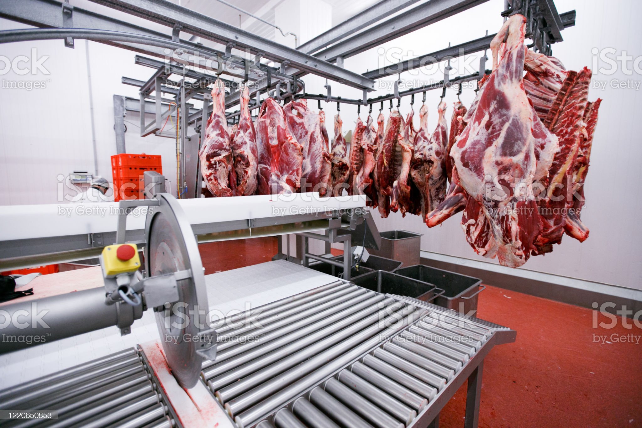 Guerra en Europa: el mercado de las carnes podría sufrir un gran daño colateral por la presión inflacionaria mundial y subas en fertilizantes y granos