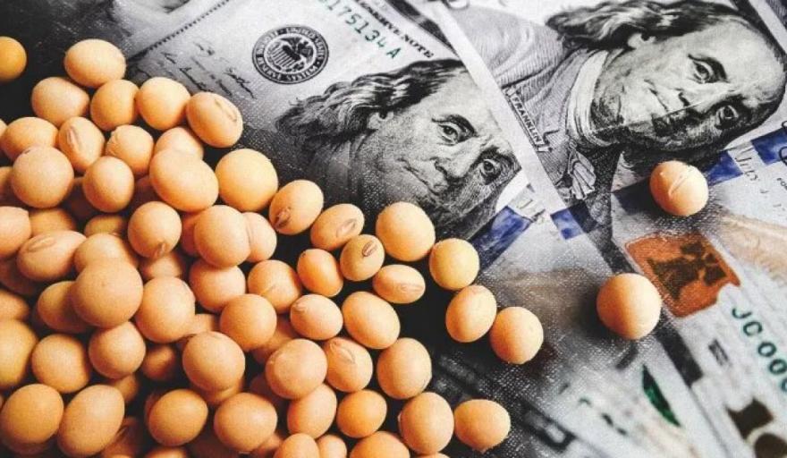 BCRA lanzó régimen especial para incentivar ventas de soja (30% se podrá convertir al dólar ahorro)