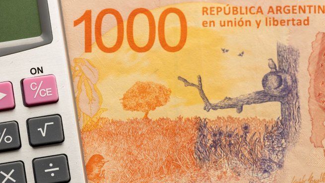 cuánta plata puedo invertir sin ser informado a la AFIP