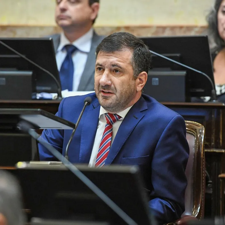 Ley Bases: un senador clave adelantó que no va a votar “a libro cerrado”