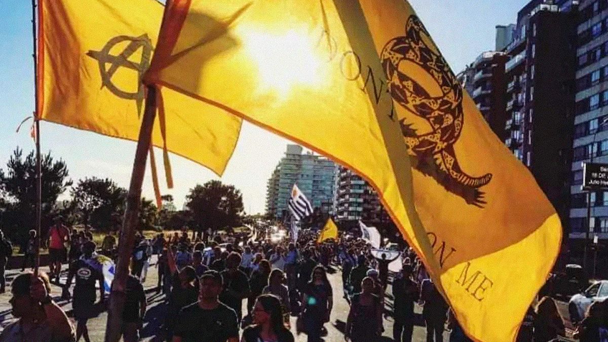 Yamandú Orsi no cree que en Uruguay sea posible un fenómeno libertario