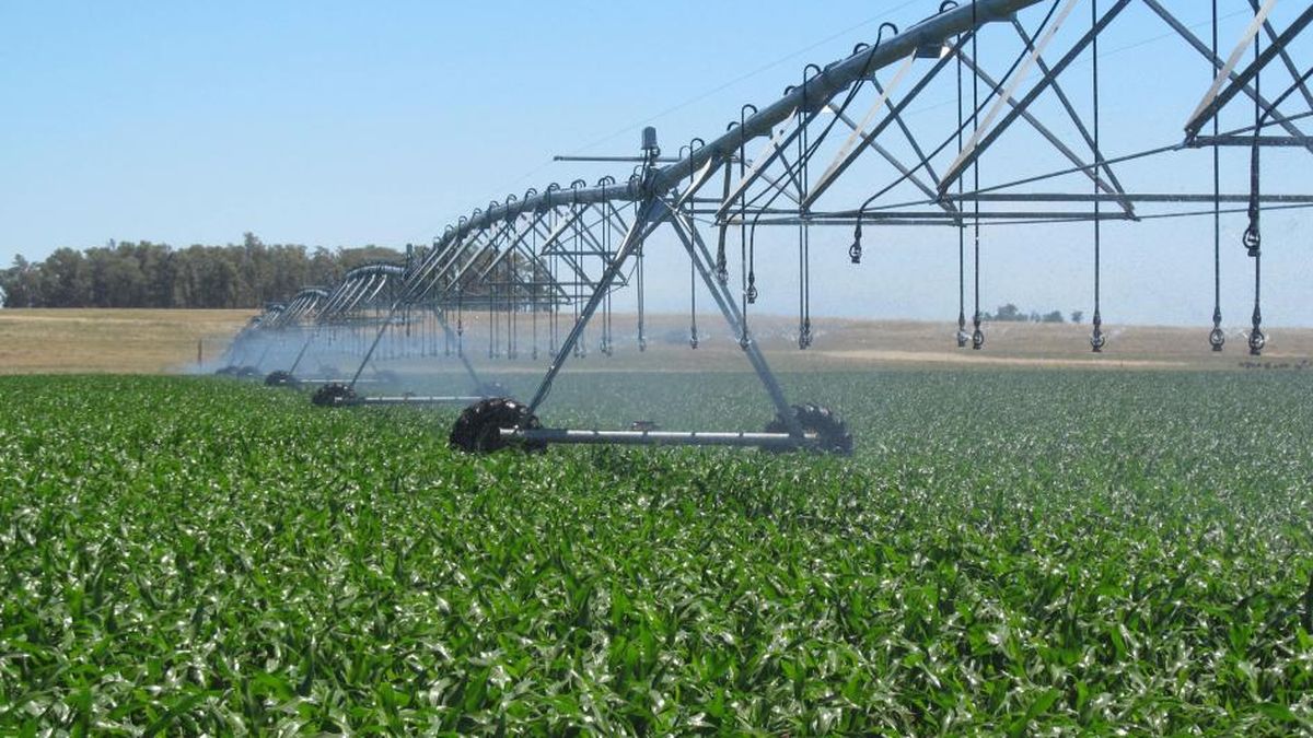El gobierno busca impulsar la agricultura familiar, que genera casi 3 de cada 10 empleos del agro