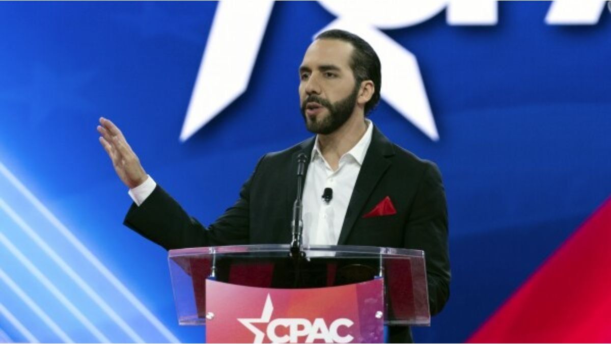 Fuerte advertencia de Nayib Bukele contra los importadores de alimentos: Van a tener problemas