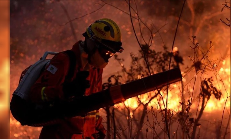 Los incendios en Brasil aumentaron un 76% este año