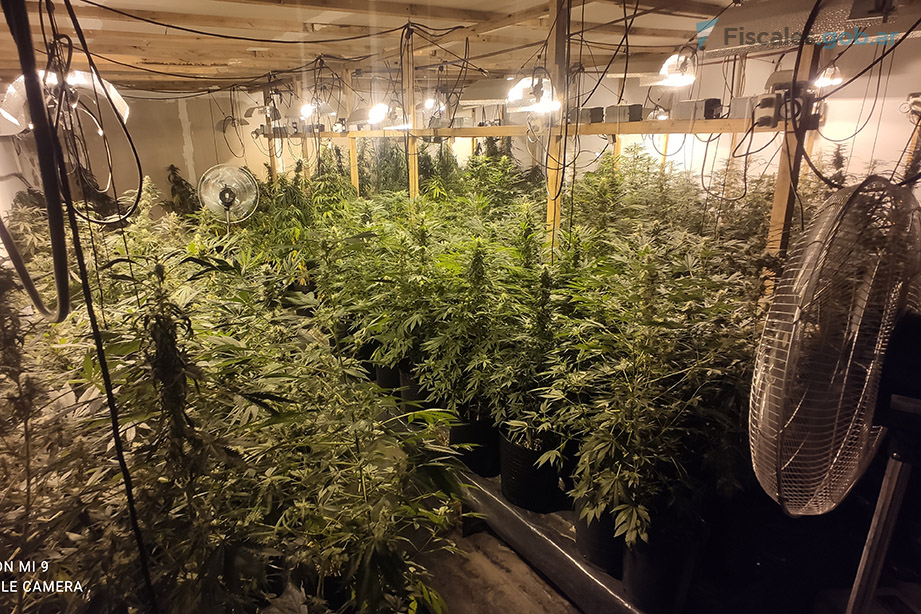 Rosario: cuatro condenados a prisión efectiva por cultivar marihuana en un sofisticado galpón