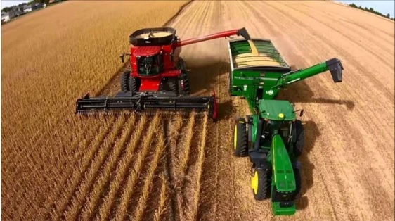 El campo detiene sus inversiones para el año próximo por la falta de rentabilidad