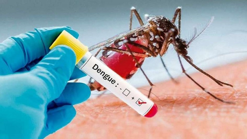 Confirmaron el primer caso de dengue de la temporada 2024-2025 en la provincia de Entre Ríos