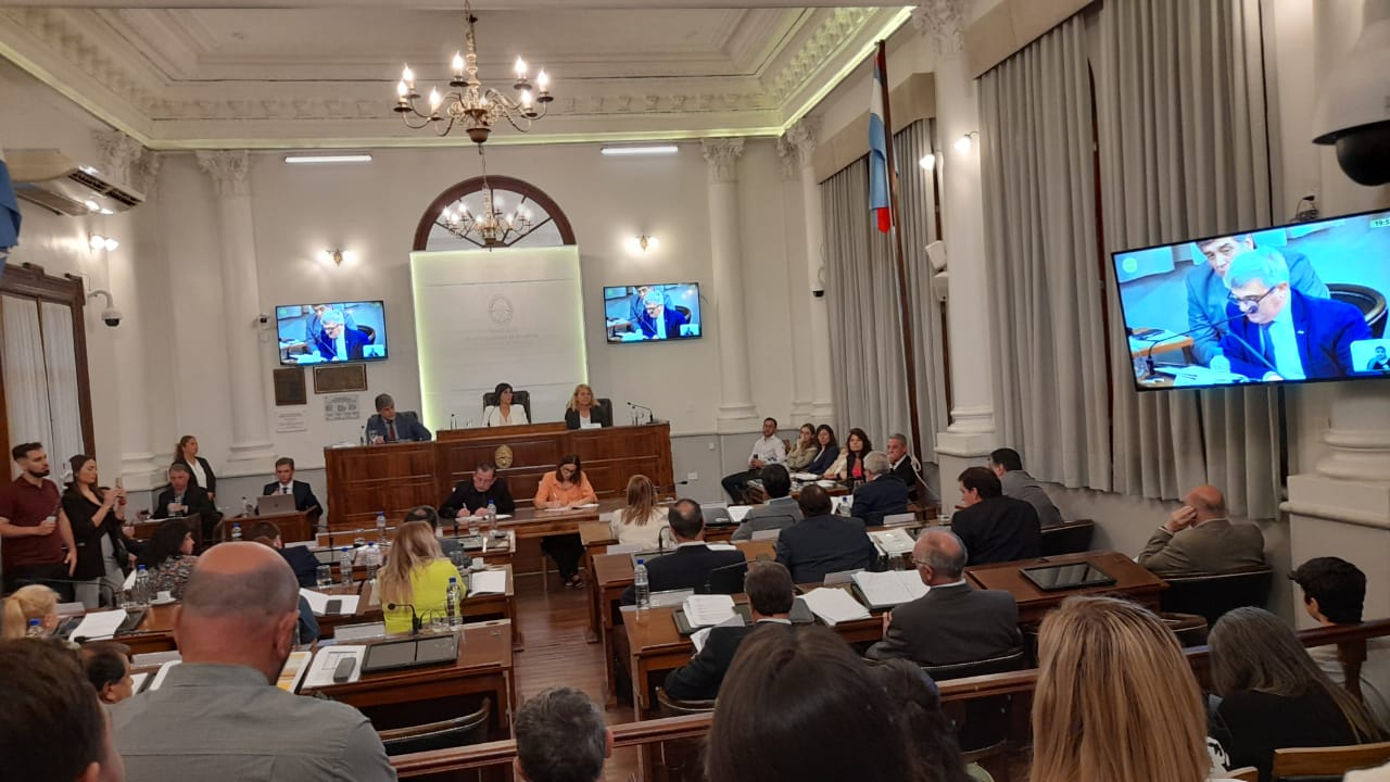 Con el voto de la vicegobernadora, el Senado aprobó la implementación del RINI y la adhesión al RIGI