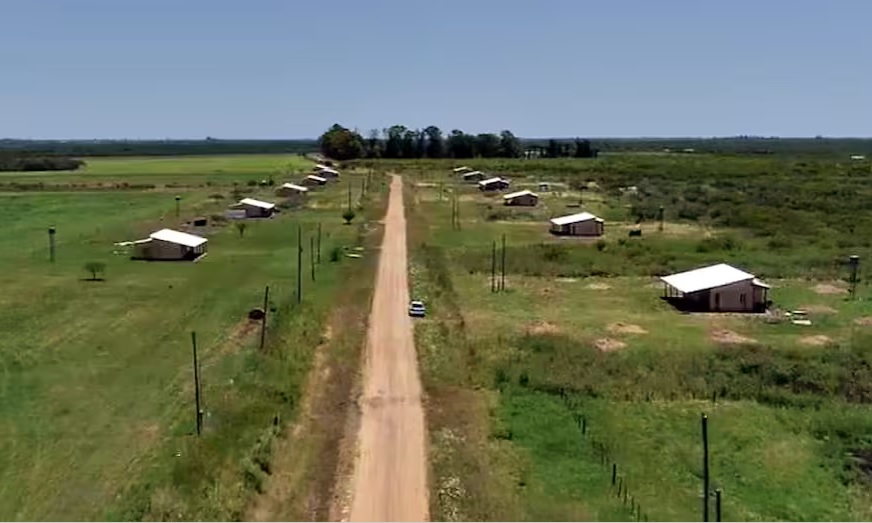 Rechazan el último intento del exsenador Yedro para recuperar el campo decomisado