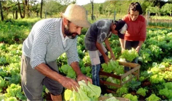 El Gobierno disolvió otros tres fondos fiduciarios vinculados a la agricultura familiar, vivienda social y comunicación