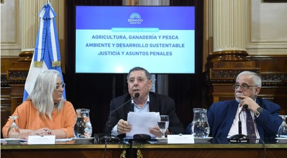 El entrerriano De Angeli quedó al frente del bloque del PRO en el Senado