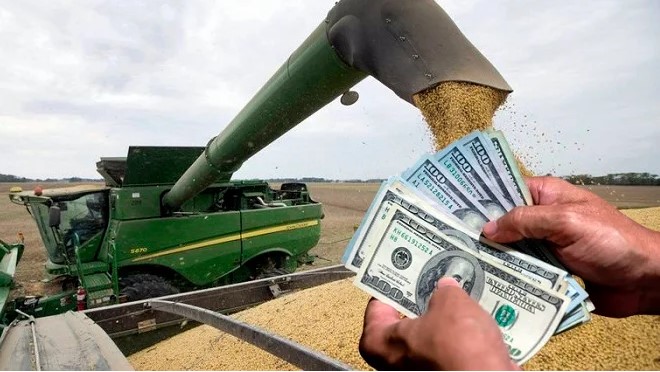 A un mes de la baja de retenciones al agro, se desplomó la liquidación de granos