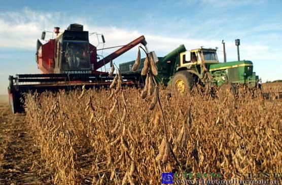 Informe de la Bolsa de Cereales y la UNER ve un panorama económico desfavorable en la producción provincial