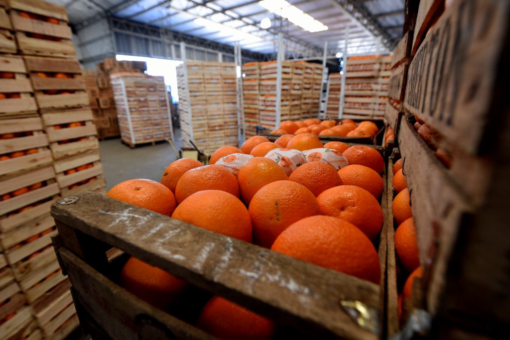 El sector citrícola advirtió que a pesar de las buenas producciones las ventas no acompañan