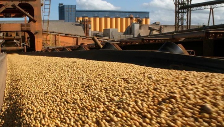 Los embarques agroindustriales crecieron 60% en 2024 y el 76% de la carga salió de puertos de la región