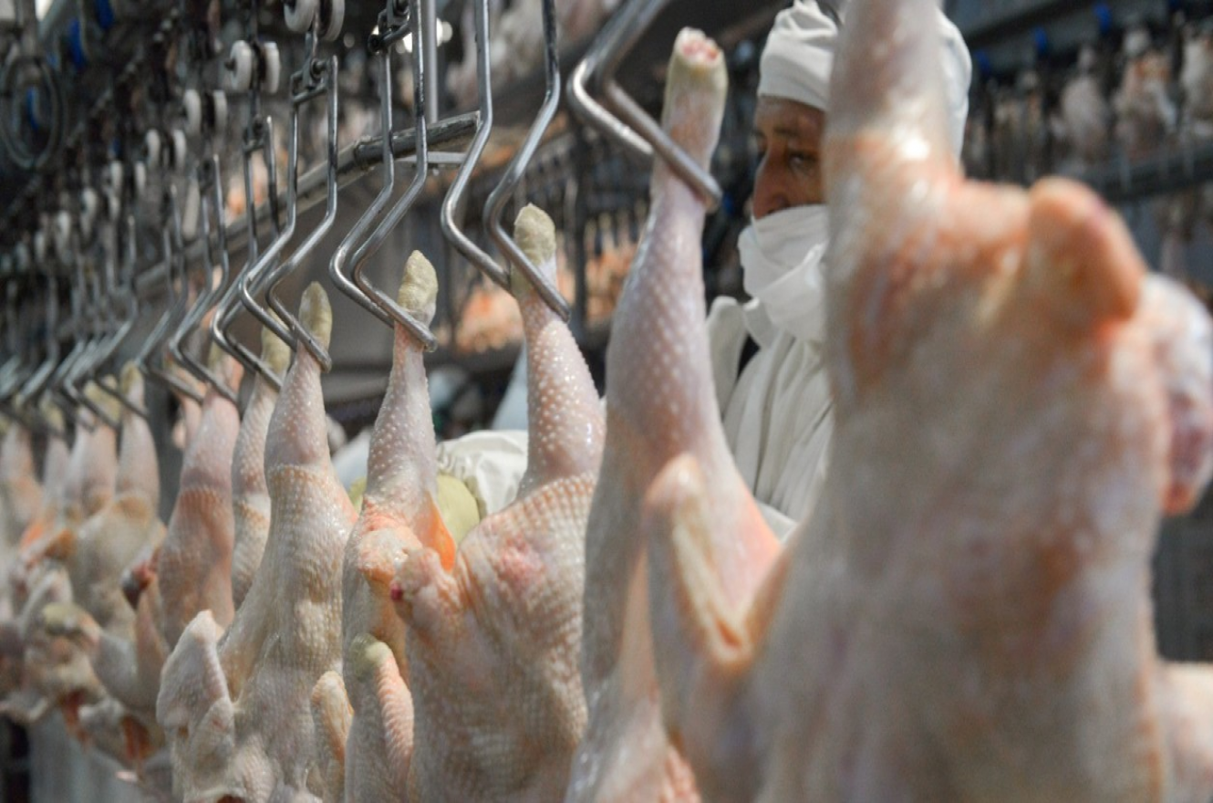 Se reabrió el mercado de Japón para carne aviar y ovoproductos argentinos
