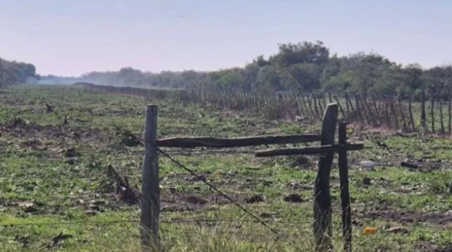 El STJ ordenó la regeneración natural de un bosque nativo en Villaguay
