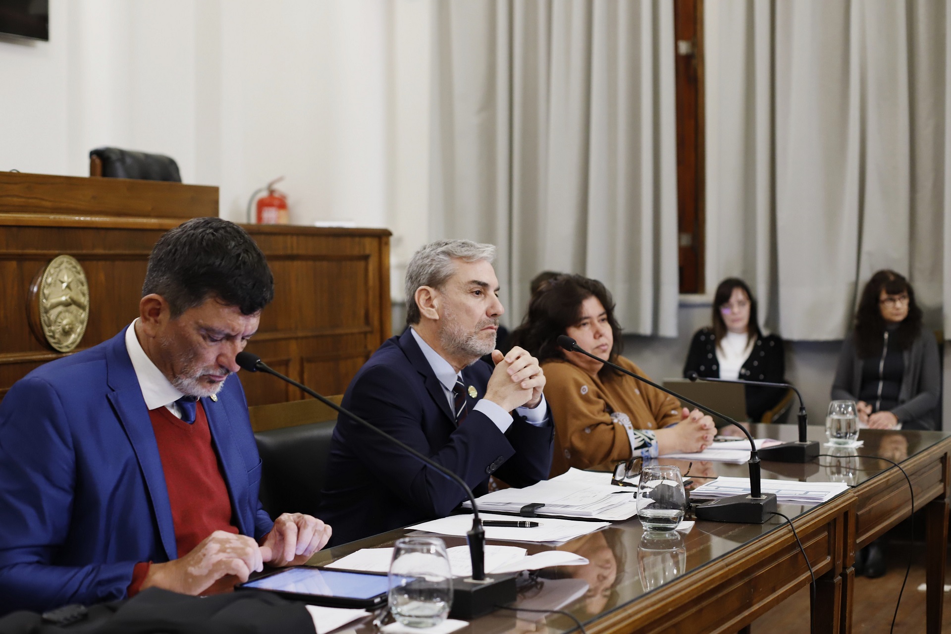Boleas defendió en el Senado el proyecto para “dar sostenibilidad a la deuda pública”