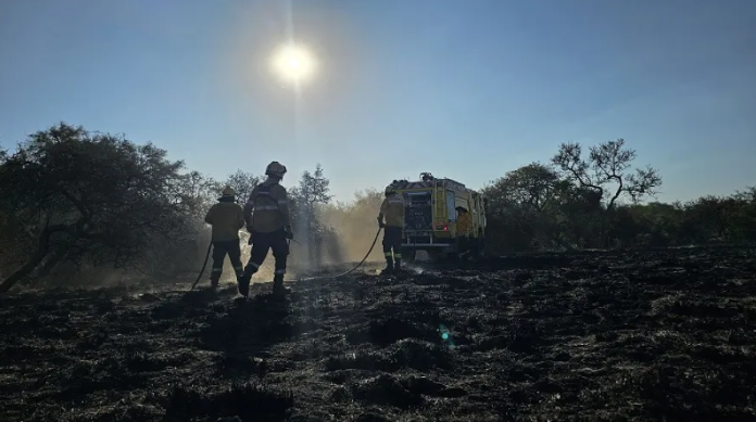 Milei eliminó el fondo para el manejo del fuego y las heladas agravan la posibilidad de incendios