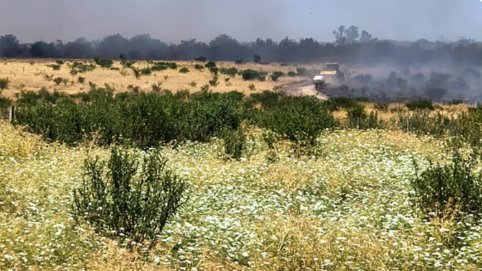 La sequía pega fuerte en el sur entrerriano y genera preocupación por la caída de los rindes de maíz y soja