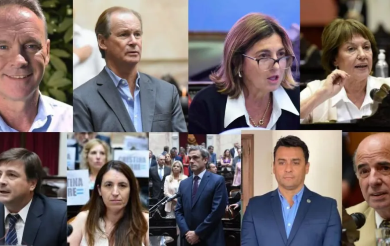 Baja de edad punibilidad: cómo votaron los entrerrianos en diputados