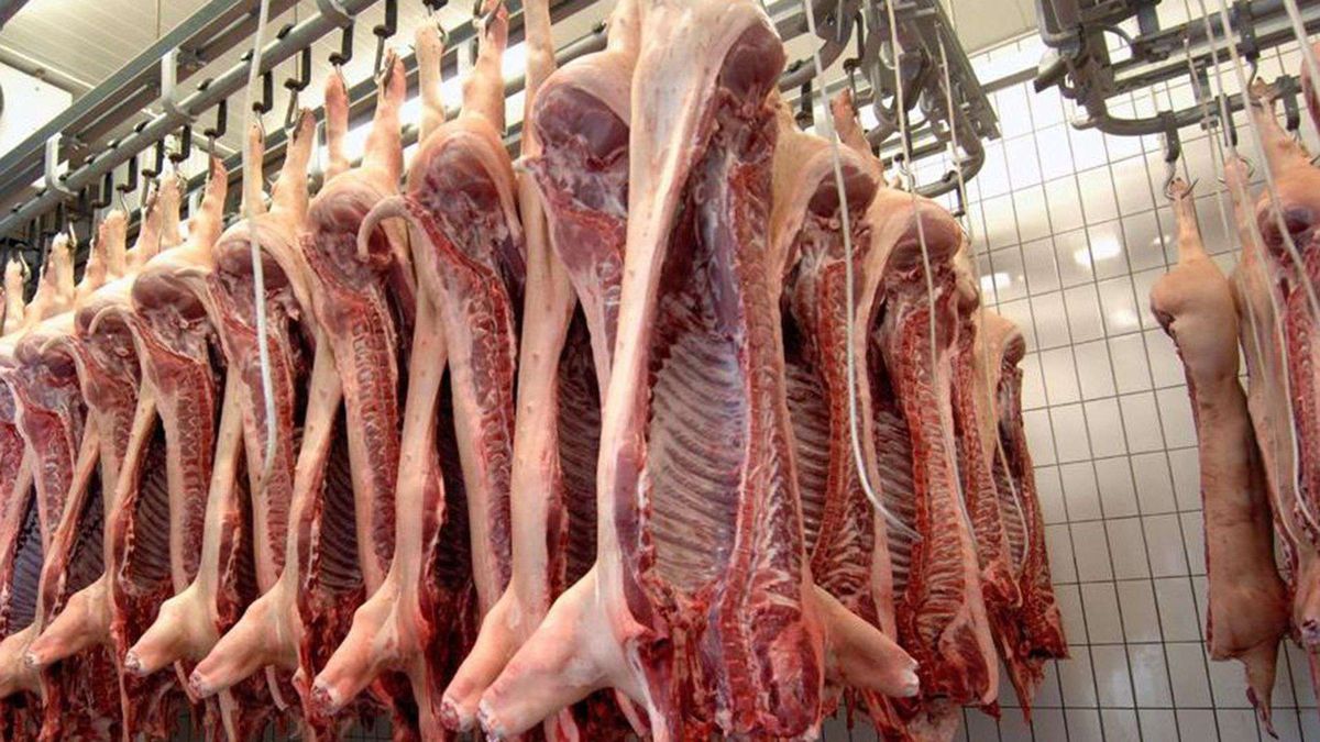 Se disparó la venta de carne de cerdo: la brecha de precios impulsa el consumo en Entre Ríos