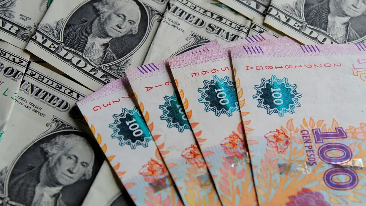 El dólar cayó tras el fuerte ingreso de divisas del agro